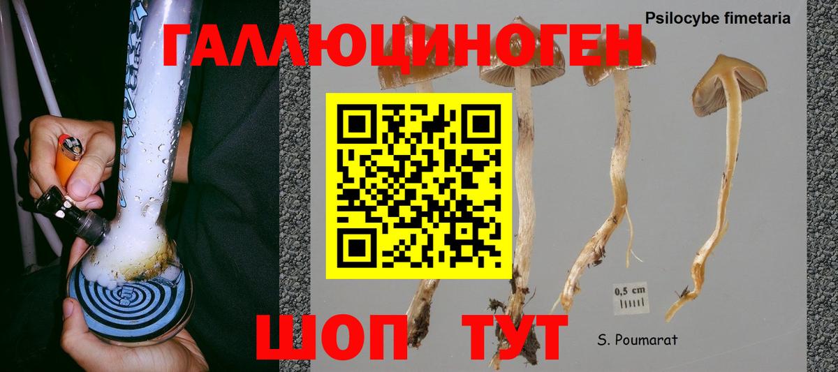 Галлюциногенные грибы ЛСД  Вход с VPN  Донской 